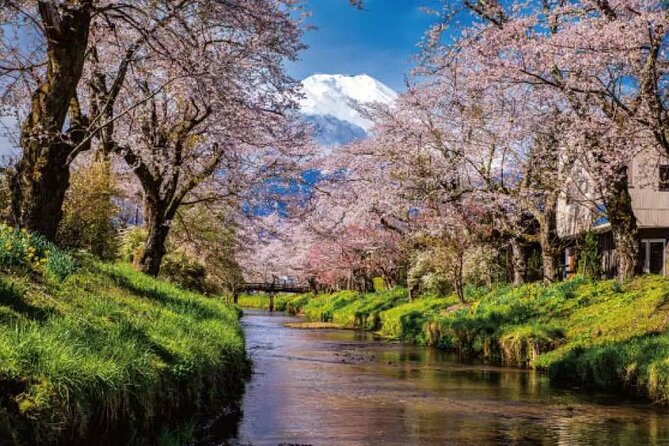 Mt. Fuji Roundtrip Tours From Shinjuku, Japan - Accessibility and Participation
