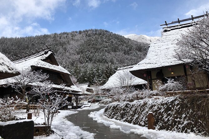 Mt. Fuji Viewing & Suntory Hakushu Distillery Whisky Museum - Booking Information