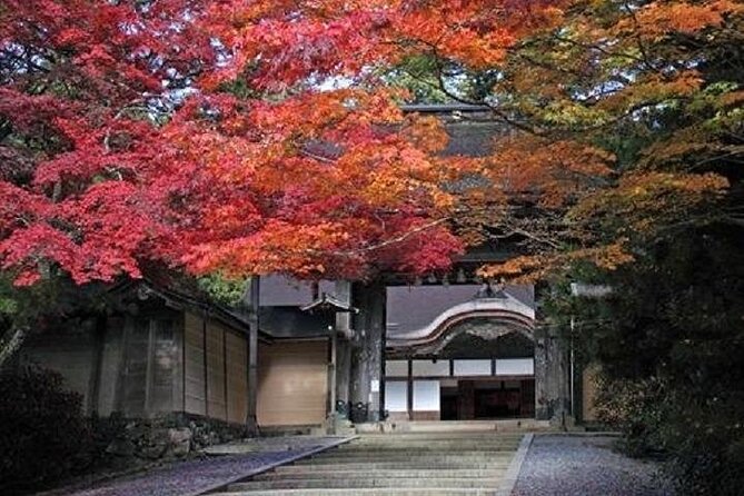 Mt Koya 1 Day Walking Tour From Osaka - Booking Information