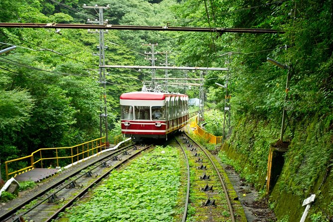 Mt. Koya Sacred 6hr Private Tour With Government Licensed Guide - Highlights of the Tour