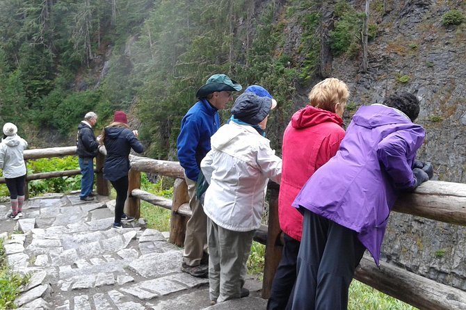 Mt Rainier Private Tour Experience in SUV - Tour Guides and Personalization