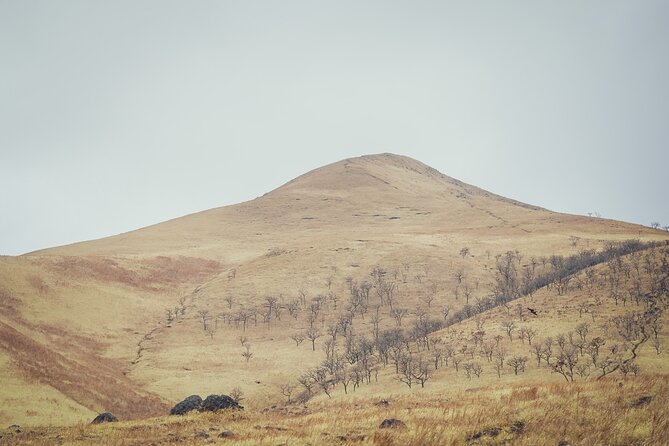 Mt. Yufu Grassland Private Hiking and Lunch - Cancellation Policy