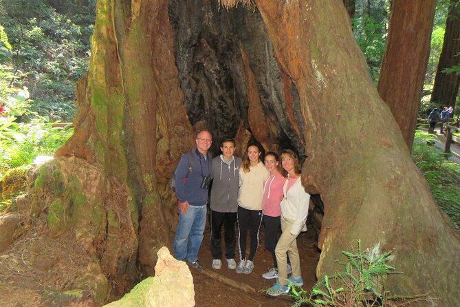 Muir Woods and California Wine Country 8 Hour Private Tour - Inclusions and Amenities