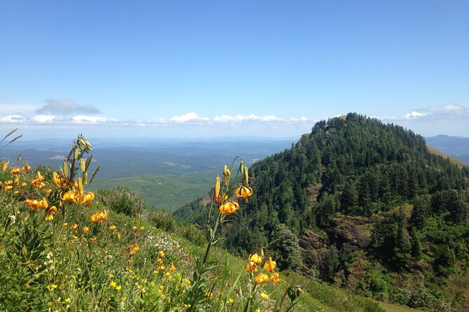 Multnomah Falls, Hood River Excursion Train Ride & Wine Tour - Tour Inclusions and Exclusions