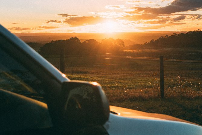 Munich to Prague - Private Transfer With 2 Hours of Sightseeing - Customer Experiences