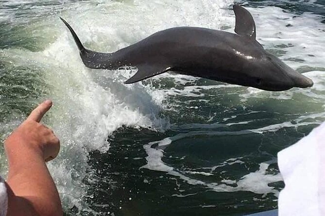 Myrtle Beach Dolphin Cruise - Discovering Calabash, Sunset Beach, and the South Carolina Coastline