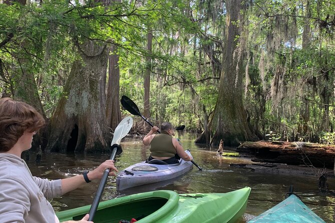 Mystical Private Kayak and Canoe Tours on Caddo Lake - Customer Experience