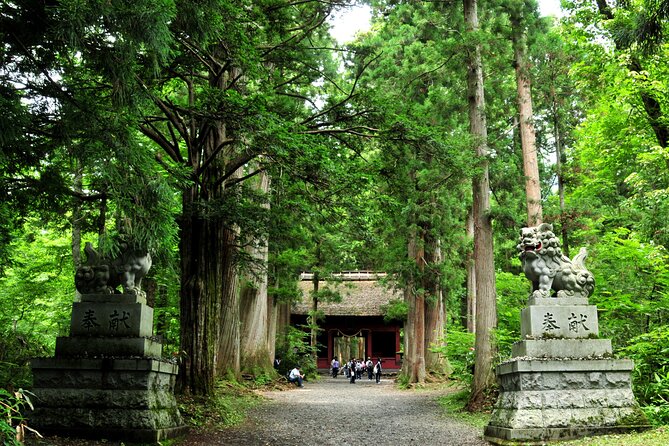 Nagano All Must-Sees 4hr Private Tour With Licensed Guide - Transportation and Accessibility