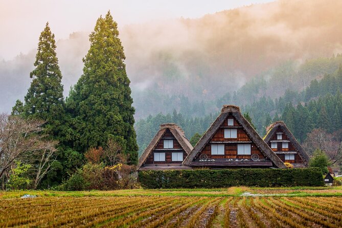 Nagoya to Takayama & Shirakawa World Heritage English Guide - Trilingual Guides