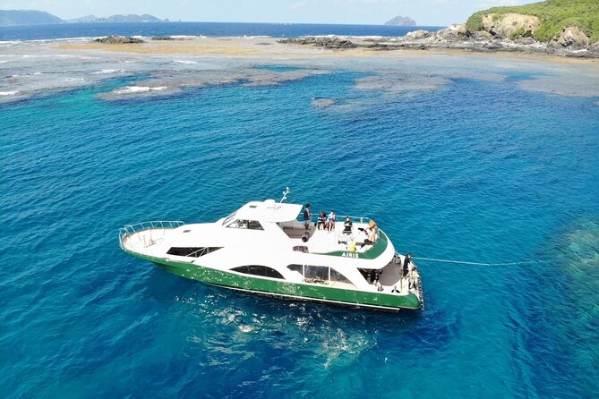 Naha: Kerama Islands Snorkeling Tour/Limited Time Whale Watching - Additional Notes and Recommendations