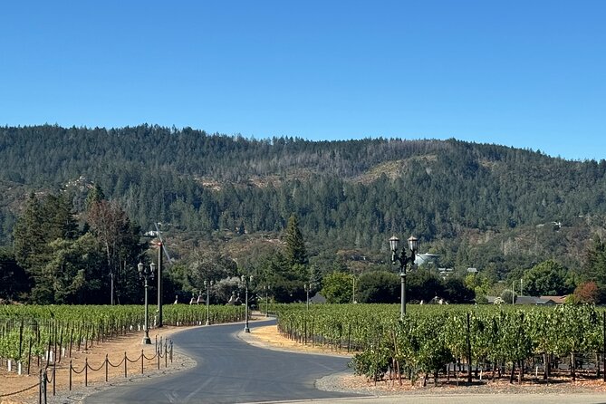 Napa Valley Luxury Wine Tours & Car Services - Frequently Asked Questions