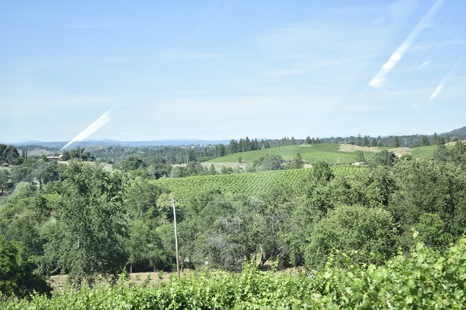 Napa Valley Wine Tasting Tour 6 to 8 Hours Max 14 Passenger - Pickup Locations and Travel Details