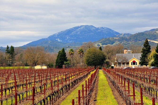 Napa Valley, Yountville and Sausalito Day Trip From San Francisco - Participation Guidelines