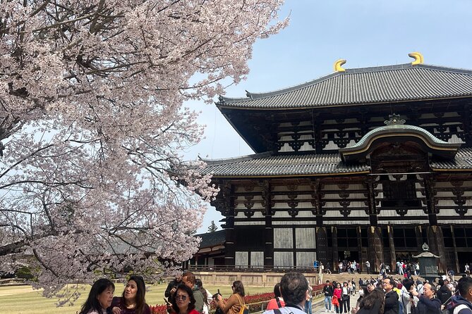 Nara Day Trip From Kyoto With a Licensed Guide - Exploring Nara Park