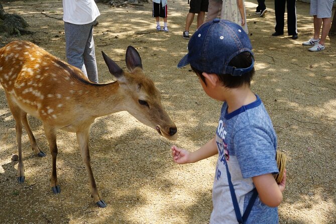 Nara Half Day Walking Tour - Kasuga Shrine