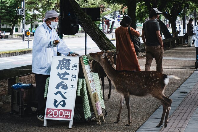 Nara Heritage Walkabout From Nara Park to Todaji Temple - Exploring Local Shrines and Temples