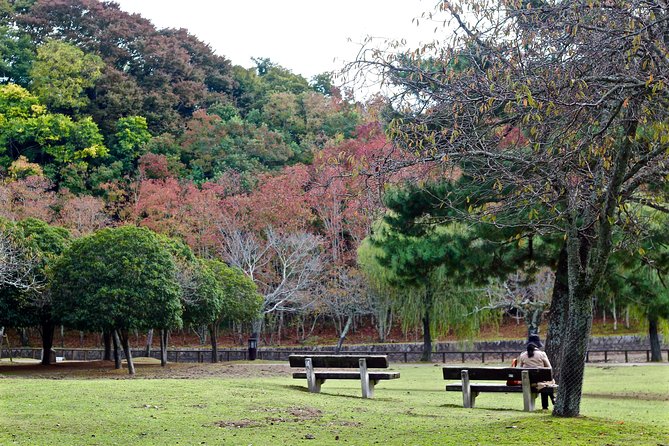 Nara Private Customizable Half Day Tour - Attraction Highlights