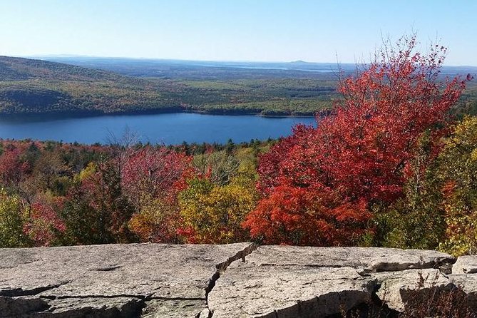 Narrated Bus Tour of Bar Harbor and Acadia National Park - Traveler Feedback and Ratings