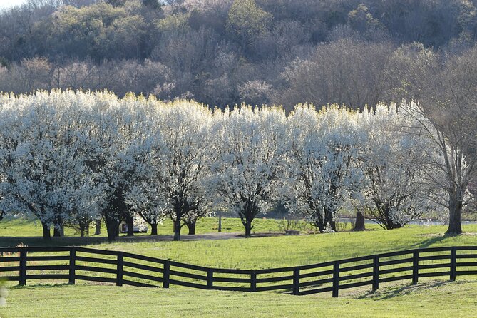 Natchez Trace Parkway Self-Guided Driving Audio Tour - Ideal for Individuals, Couples, and Groups
