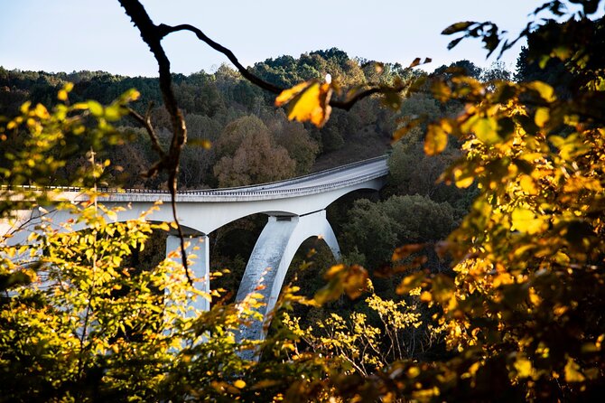 Natchez Trace Parkway Tour Review - User Reviews and Feedback