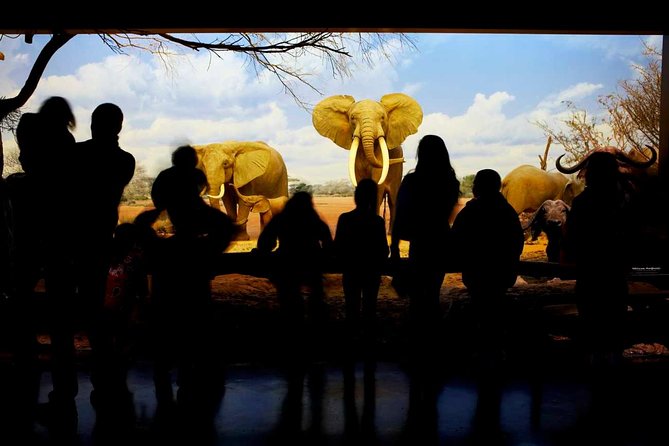 Natural History Museum of Los Angeles County Admission - Nature Gardens and Gem & Mineral Hall