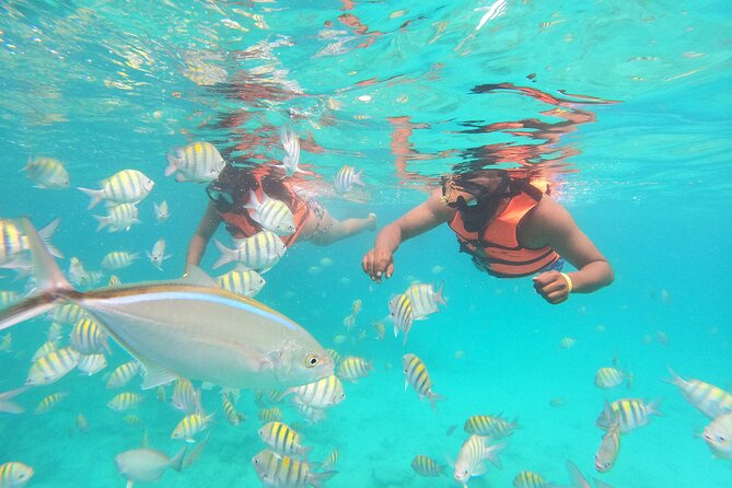 Natural Pool Speedboat and Snorkeling Experience - Punta Canas Aquatic Adventures