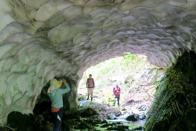 Nature Tour Around Waterfalls That Exudes From the Beech Forest Nishiwaga Town, Iwate Prefecture - Frequently Asked Questions