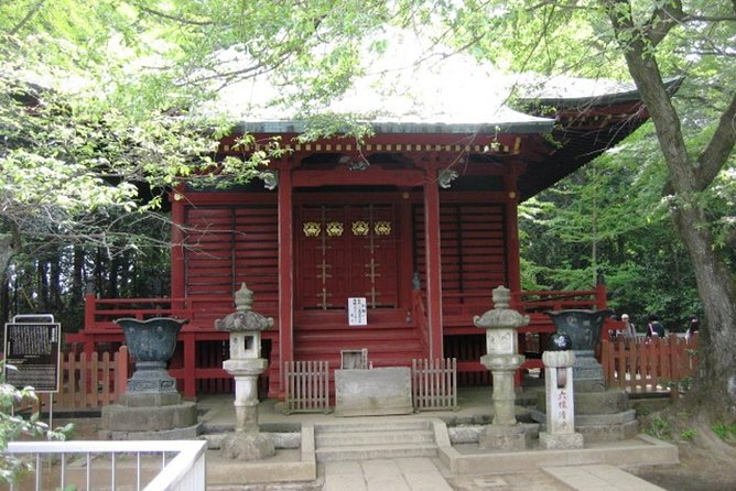 Nature Tour at Mt. Takao - Accessibility and Health Considerations