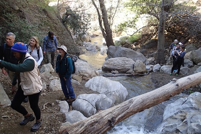 Nature Walk/Hike Tour Near Disneyland: ID Plants & Wildlife - Participation Requirements