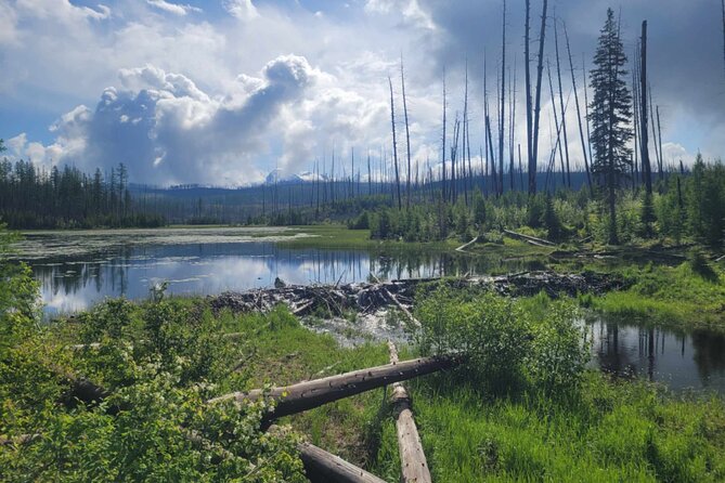 Nature Walk in Glacier National Park - Traveler Reviews