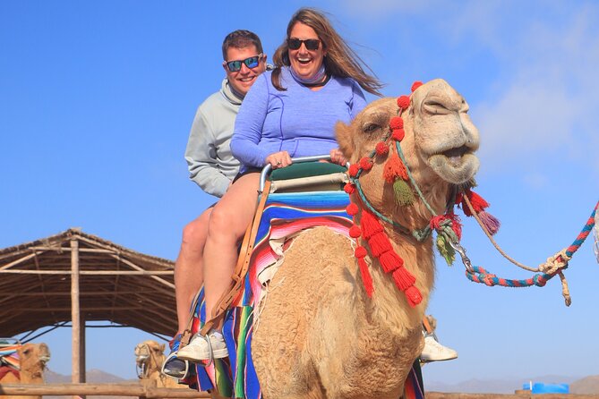 NEW! Combo Camel Beach Ride and UTV 4X4 Cabo Adventure, Tequila & - UTV 4X4 Experience