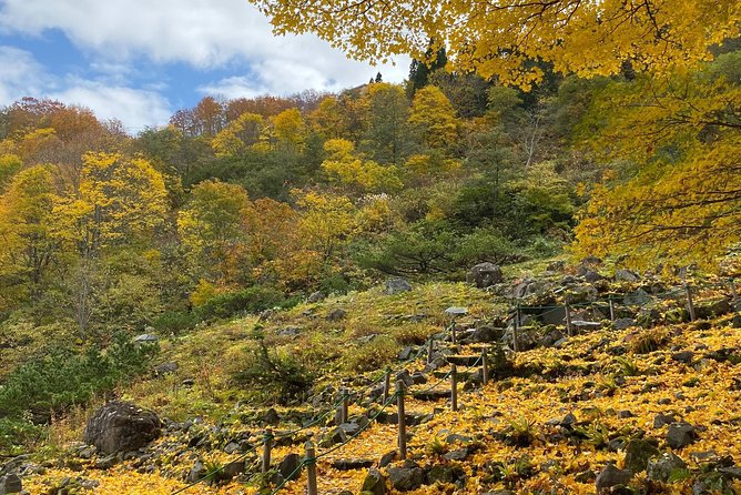 Niigata Private Customizable Full Day Tour - Exploring Niigata: Top Attractions and Cultural Highlights