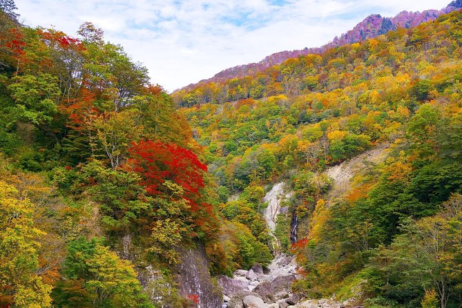 Niigata Private Customizable Half Day Tour - Transportation Options