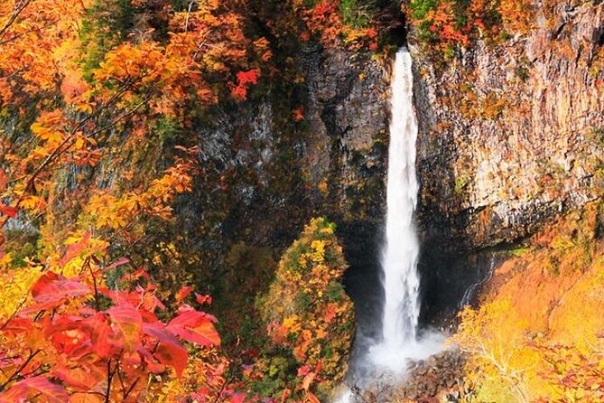 Nikko Full Day Tour With ENGLISH Speaking Driver - Accessibility and Additional Info