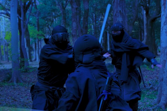 Ninja Show in Osakas Namba - Reserve Now and Pay Later