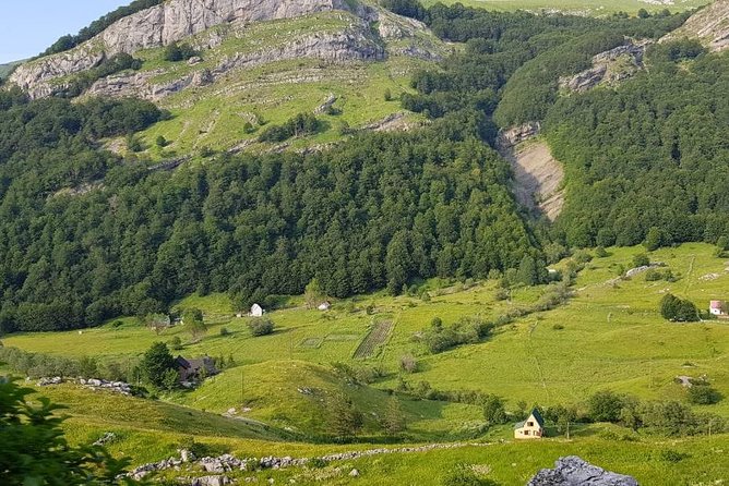 Njegusi Smokehouse, Farm to Fork Experience & Kotor Walking Tour - Savoring Traditional Dalmatian Delights