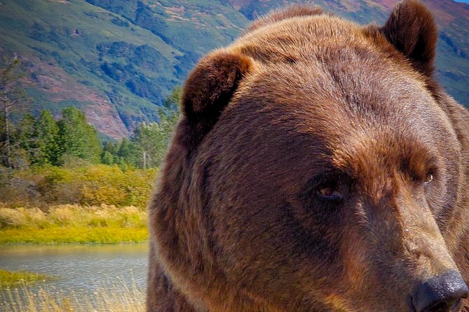 Northern Lights Experience From Anchorage Review - Tour Specifications and Accessibility