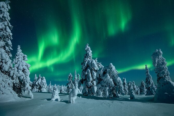 Northern Lights Hunting Sonkamuotka - Tour Duration and Timing