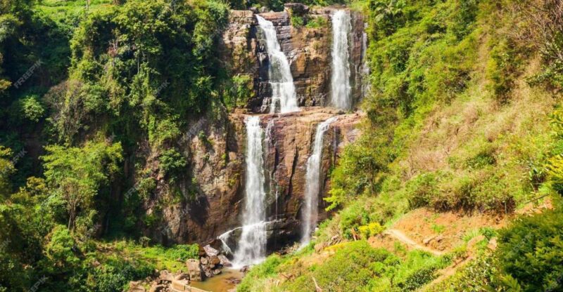 Nuwara Eliya: Sri Lanka Hill Country Day Trip From Kandy - Tea Factory and Plantations