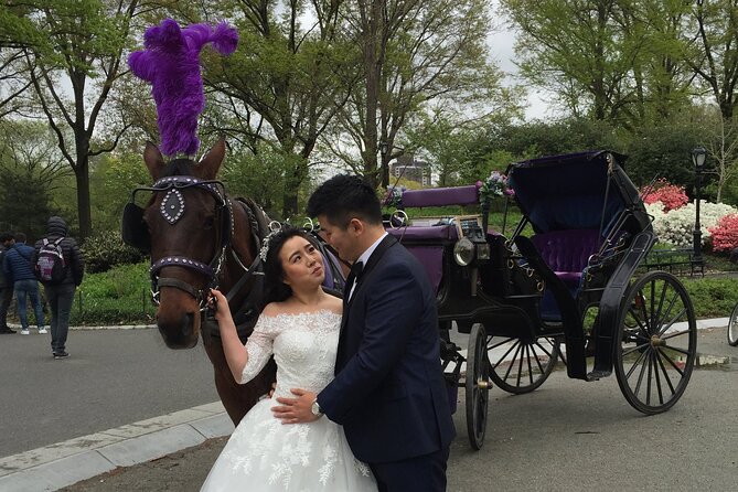 NYC Central Park Horse and Carriage Ride: Long Ride 45 Min - Highlights of the Tour