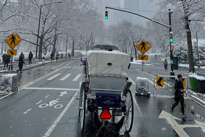 NYC Empire State Horses Carriage Ride in Central Park (45 Mins) - Inclusions