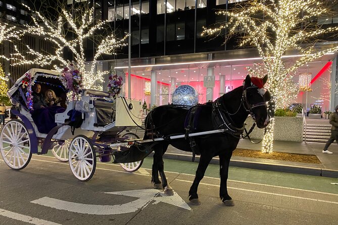 NYC Rockefeller Center Christmas Lights Ride Review - Meeting and Pickup Information