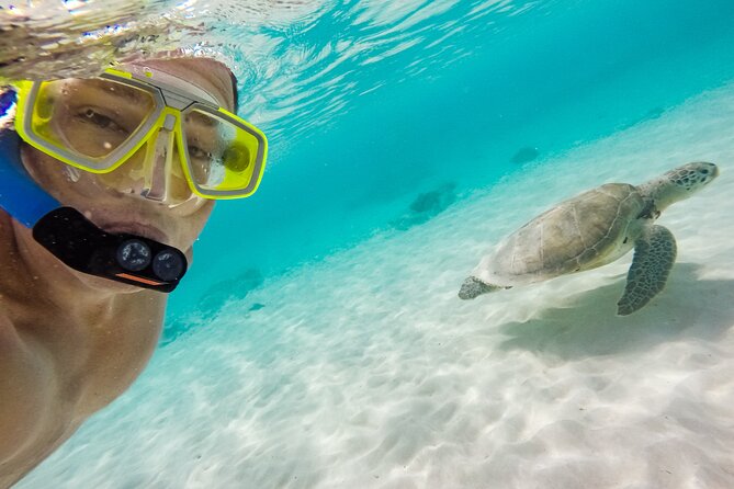 Oahu Coastline Cruise: Turtle Snorkeling and Jumping Platform - Pickup and Meeting Information