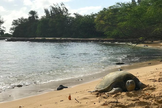 Oahu Customizable Private Community Service Review - Policies and Reviews