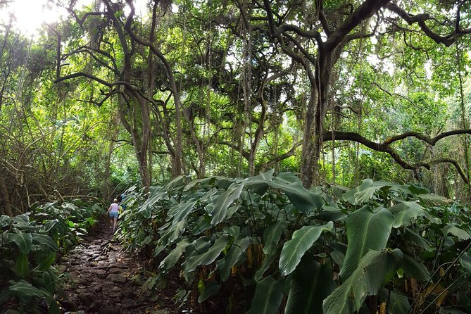 Oahu Hidden Waterfall Hike: A Tropical Paradise Adventure - Traveler Logistics
