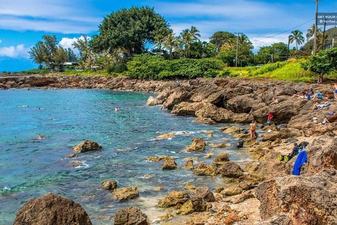 Oahu: North Shore & Dole Plantation Tour Review - My Experience