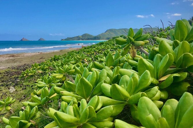 Oahu South Shore GPS Driving Tour Review - Questions About Your Stay