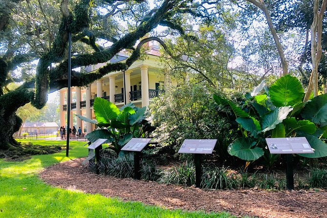 Oak Alley Plantation Tour With Transportation From New Orleans - Additional Information and Recommendations