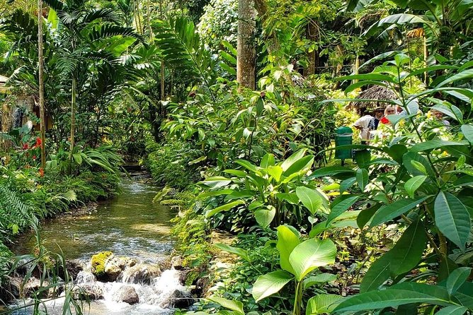 Ocho Rios Highlight & Dunns River - Full Day Tour - Pricing and Booking Options