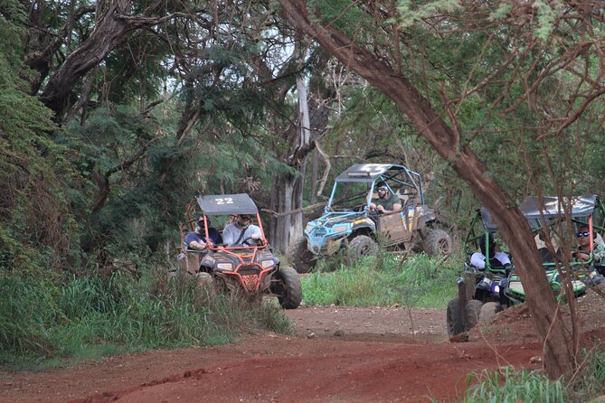 Off-Road Side-by-Side ATV & 3 Ziplines Adventure - What to Expect on the Tour